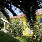 Borik