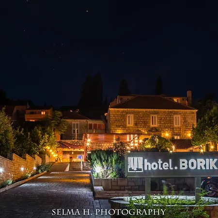 فندق Borik 3*